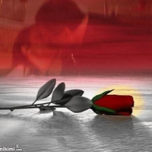 Meet your Posher, Sylvie